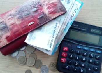 Какие меры поддержки появятся с нового года в Челябинской области