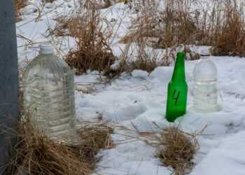 Полигон ТБО в Полетаево сдал анализы