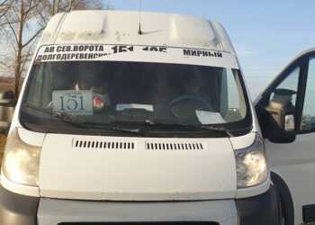 QR-коды на транспорте пока вводить не будут