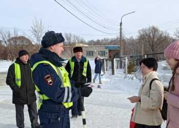 В Сосновском районе пешеходы получили в подарок фликеры
