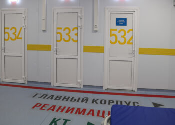 В России максимальное число заболевших за все время пандемии