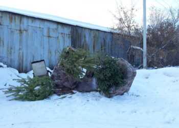 В Новый год на мусор выбрасывали шкафы, диваны и елки