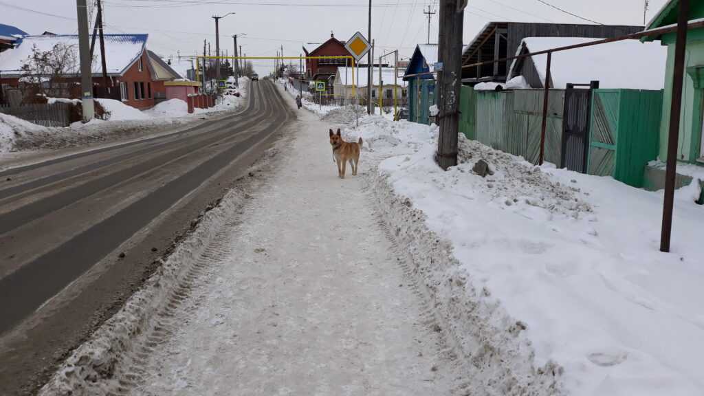 Жителей Сосновского района зима порадует прекрасной погодой