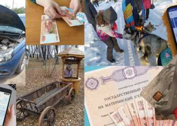 Какие законы начнут действовать в новом году