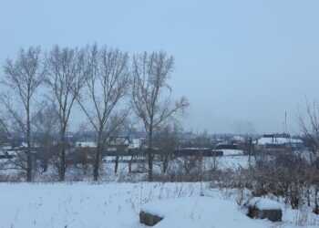 В Сосновском районе встречают ласковый февраль