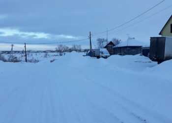 Аномально спокойный февраль в Сосновском районе