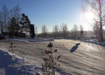 Последняя неделя февраля станет аномально теплой