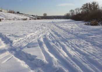 Реку Зюзелга собираются очистить