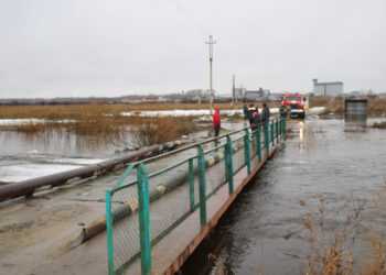 Определен проектировщик моста в Заварухино