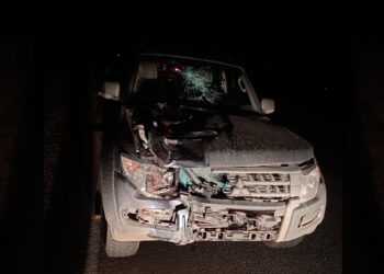 В Сосновском районе сбили насмерть пешехода