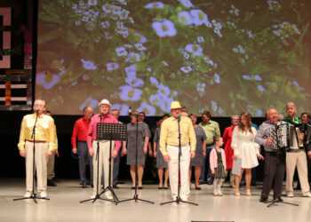 В Сосновском районе состоялся бенефис профессионального музыканта