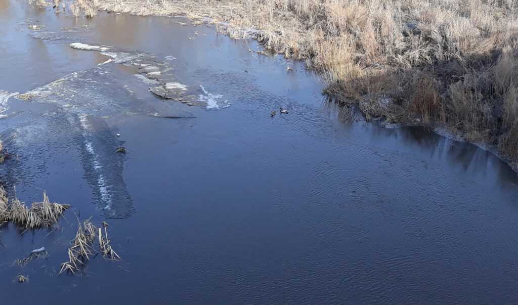 В Сосновском районе весна без аномалий