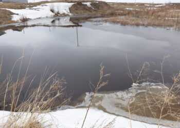 В Сосновском районе зазвенят ручьи