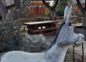 Команда фермеров Челябинской области победила в конкурсе