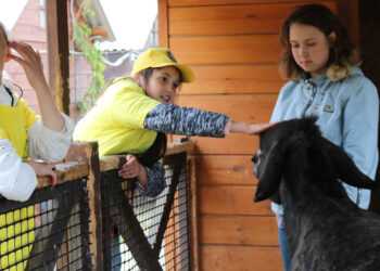 Фермеры Челябинской области создают туристические достопримечательности