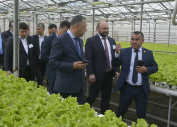 Делегация из Узбекистана посетила Сосновский район