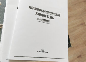 Какие документы опубликованы в «Информационном бюллетене «СН» №6