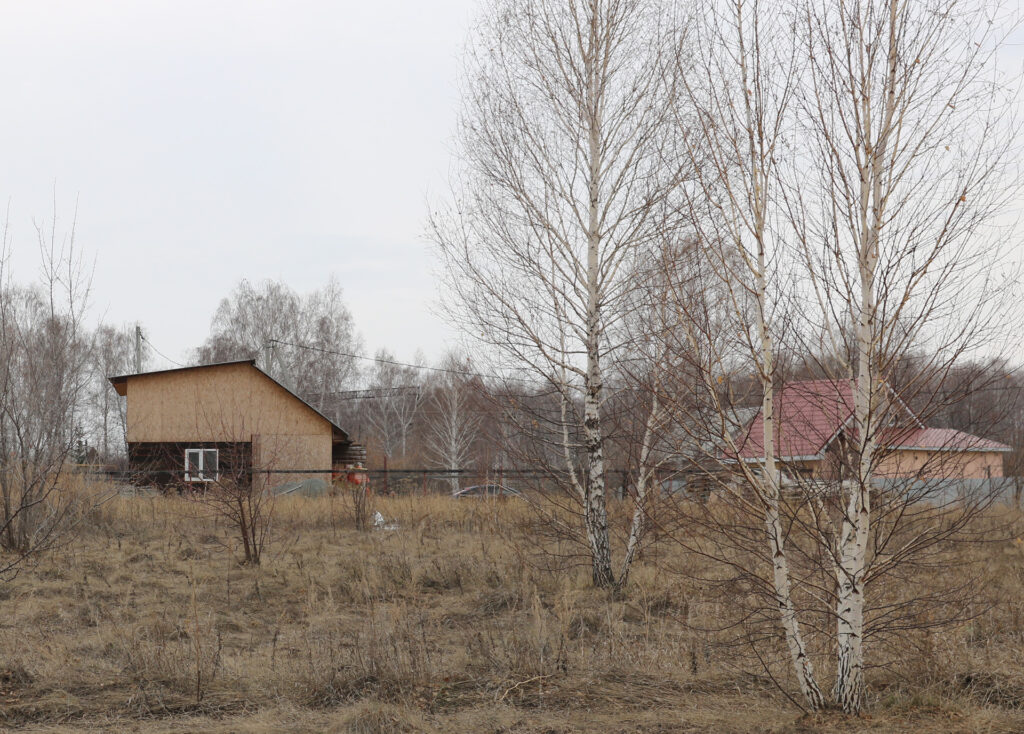 Инкубаторы и птица: в Сосновском районе появится индюшиная ферма