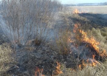 В Сосновском районе ликвидировали масштабное возгорание