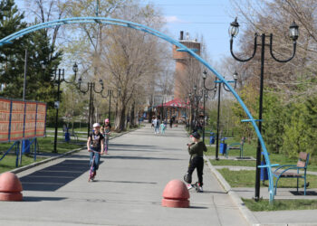 В Сосновском районе будет господствовать ветер