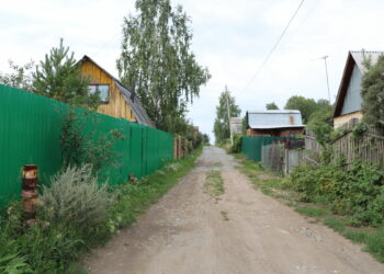 Полиция задержала мужчину за кражи в садах