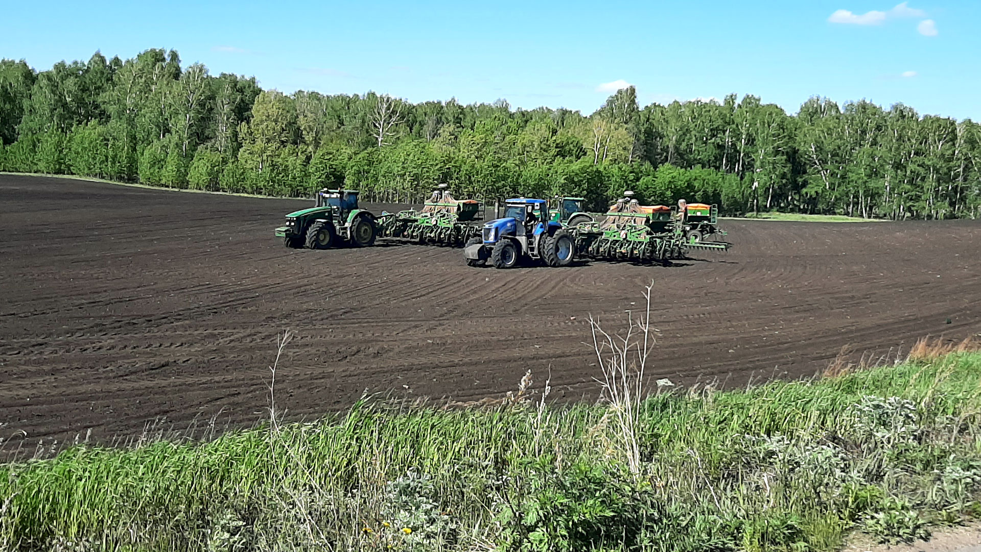 Село сева. Сев рапса. ООО Заря Сосновский район. Село Заря Ставропольский край. Сев Семен.