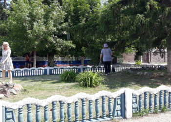 Клумбу в Солнечном «под крыло» взяла администрация