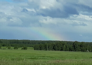 Жители Сосновского района мечтают о солнце