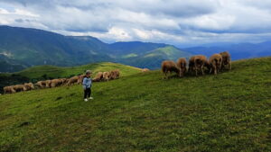 Давай отдыхай: как прошла поездка на Кавказ