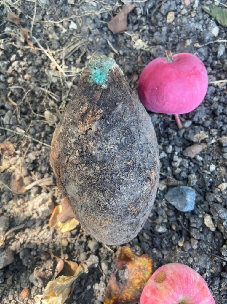 Житель Сосновского района бурил скважину и нашел на участке гранату