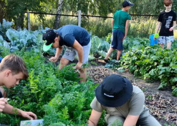 В школе Сосновского района работают над проектом агробизнесобразования