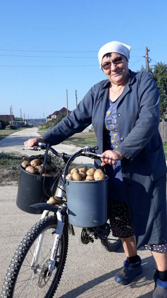 Жители Сосновского района приступают к сбору урожая картофеля