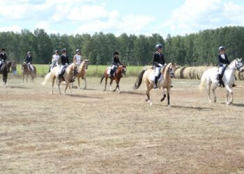 «UralHorse2022»: в Сосновском районе прошел парад элитных пород лошадей