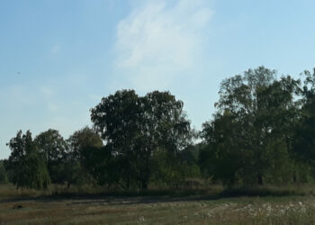 В первые дни сентября в Челябинской области значительно похолодает