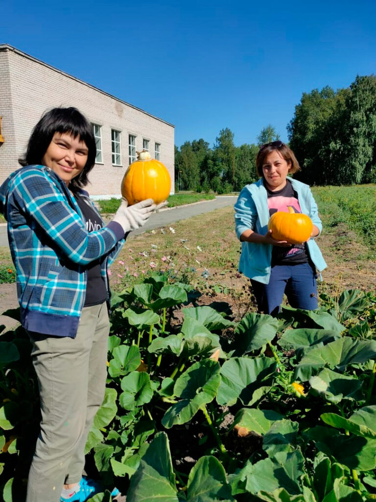В школе Сосновского района работают над проектом агробизнесобразования