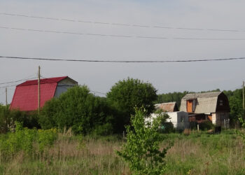В Сосновском районе садовые воры продолжают свой промысел