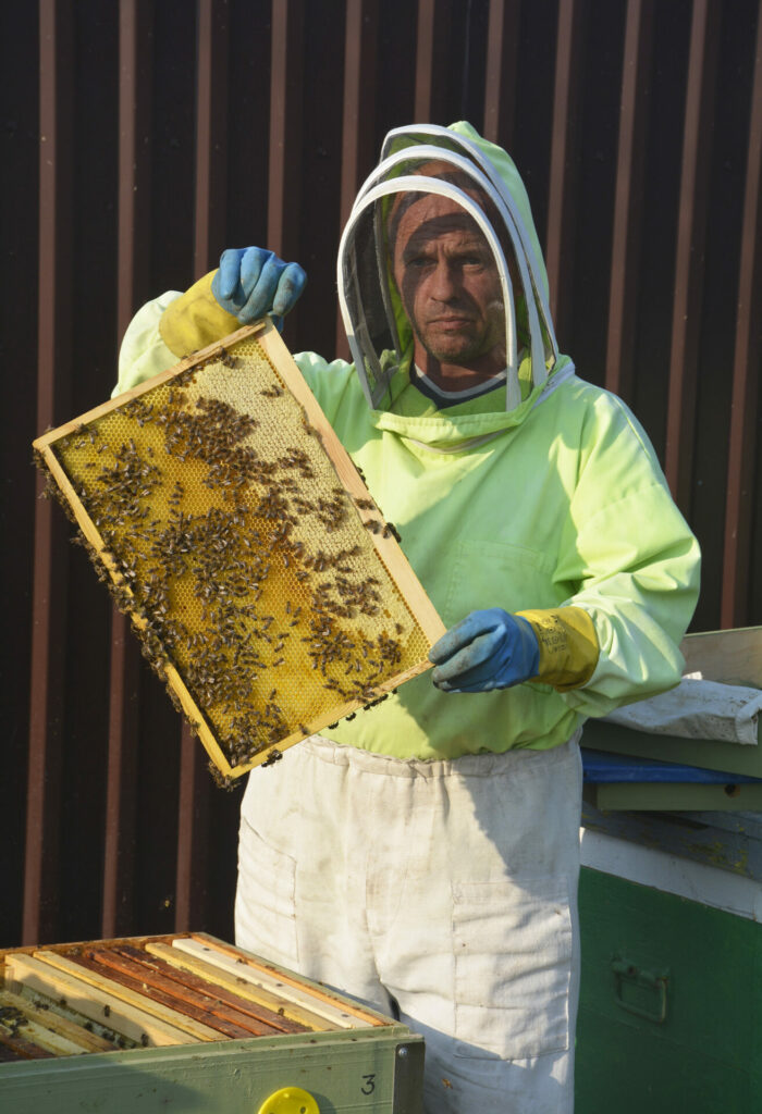 Хорошее подспорье: пчеловод из Сосновского района оформил соцконтракт