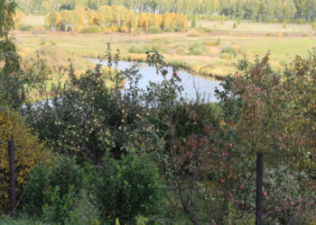 В Сосновском районе наступает бабье лето