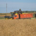 Урожай-2022: в Сосновском районе убирают овощи и зерновые