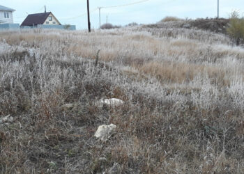 Погодные катаклизмы обрушатся на Сосновский район