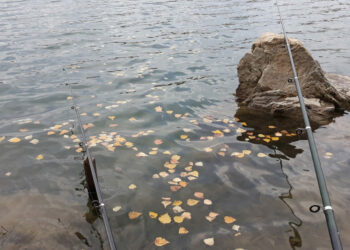 В Сосновском районе короткая и дивная осенняя пора