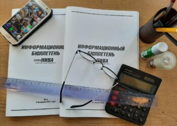 Какие документы опубликованы в «Информационном бюллетене «СН» №13