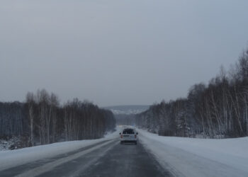 В Сосновском районе три часа искали мужчину и женщину, которые заблудились в лесу