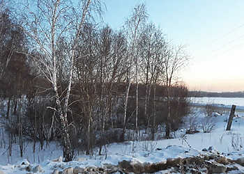 Над Сосновским районом облачно. И никаких сюрпризов