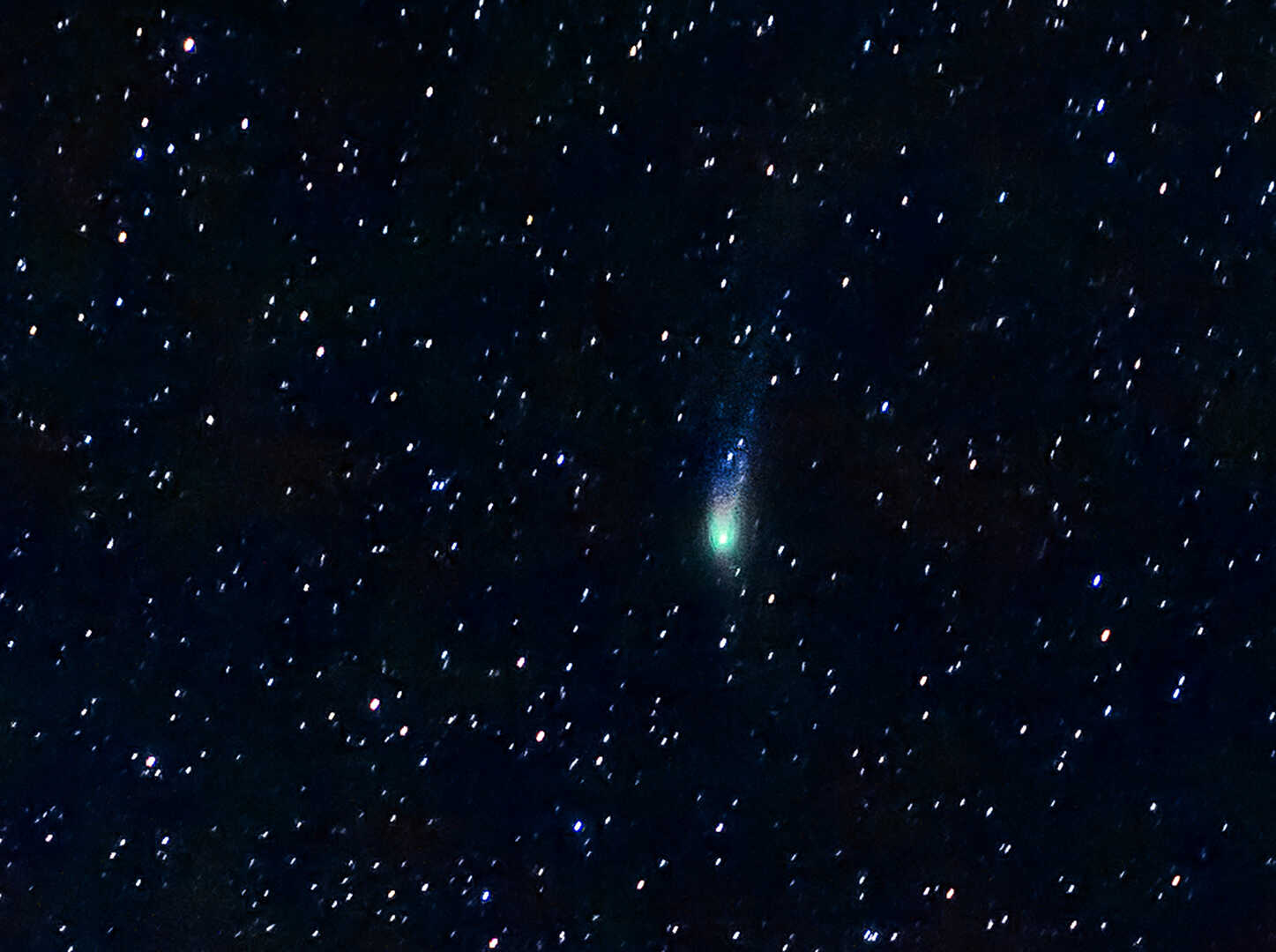 Комета понса брукса можно увидеть в москве. Зеленая Комета 2023. Комета ZTF В 2023. Снимки кометы. Комета фото.