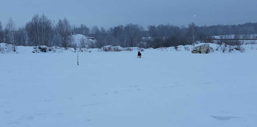В Сосновский район пришла неустойчивая февральская погода