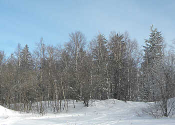 Жителей Сосновского района ожидает неделя с коварной погодой