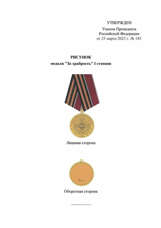 В России учредили медаль «За храбрость»