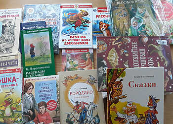 Журналисты Челябинской области шлют детские книги в Донбасс