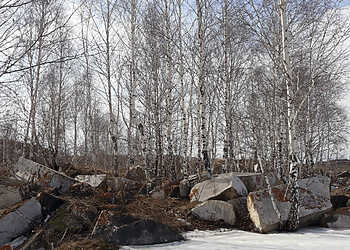 Жителей Сосновского района ожидают магнитные бури и незначительное похолодание